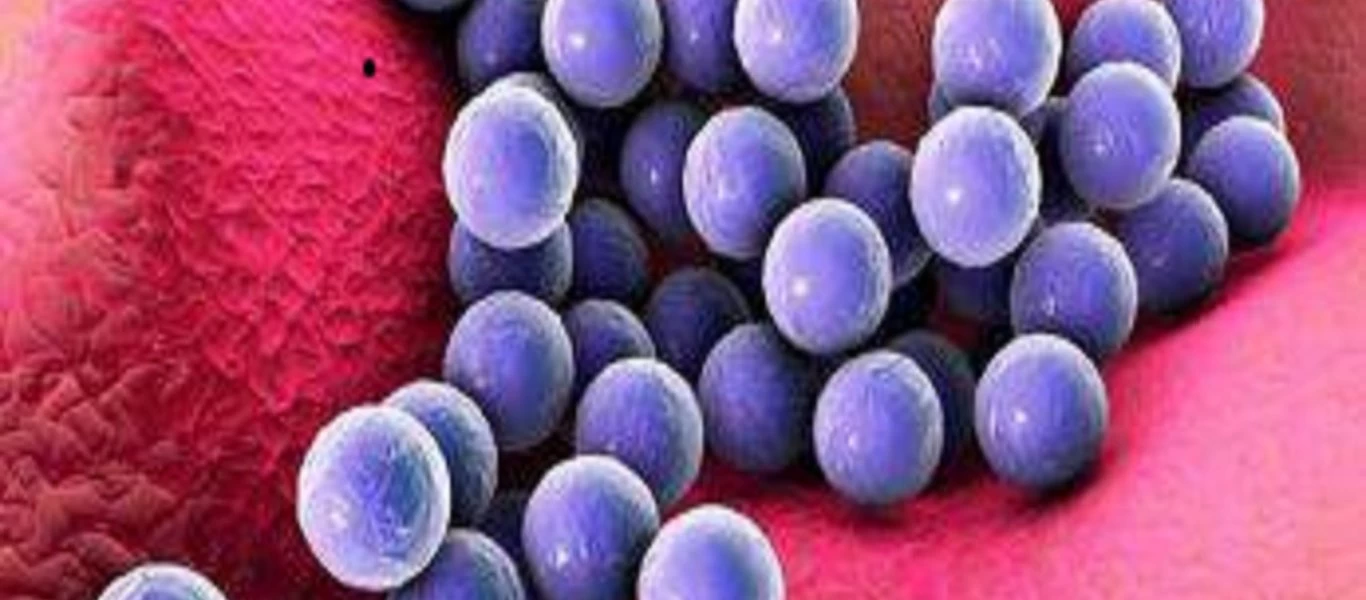 Αυτοί είναι οι συχνότεροι τρόποι μετάδοσης του σταφυλόκοκκου